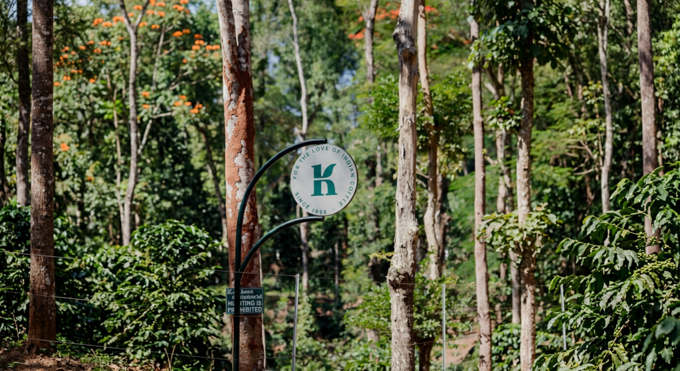 Elevating Kelachandra Coffee to Industry Thought Leadership